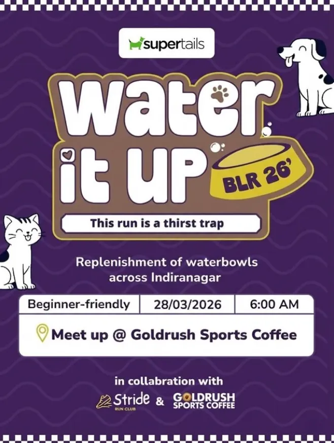 Water it UP