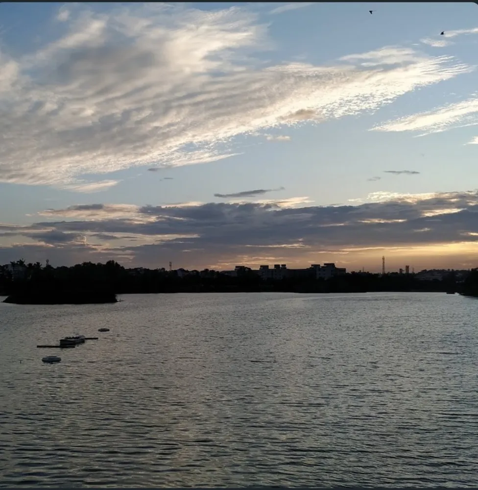 Allalasandra Lake Run with Yelahanka Runners