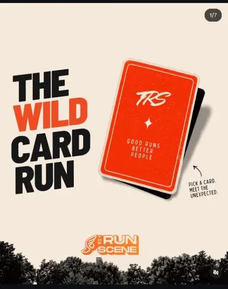 The Wild Card Run — image 1